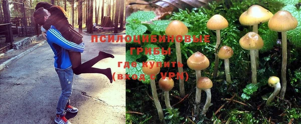 шишки Верхнеуральск
