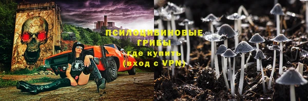шишки Верхнеуральск