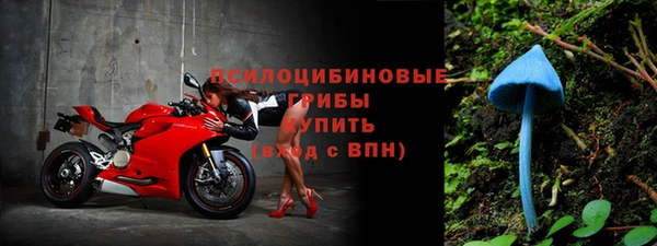 ГАЛЛЮЦИНОГЕННЫЕ ГРИБЫ Бородино
