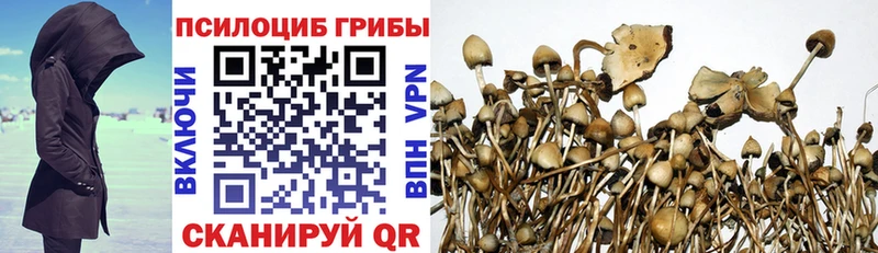 Купить  Бронницы  Псилоцибиновые грибы Psilocybine cubensis 